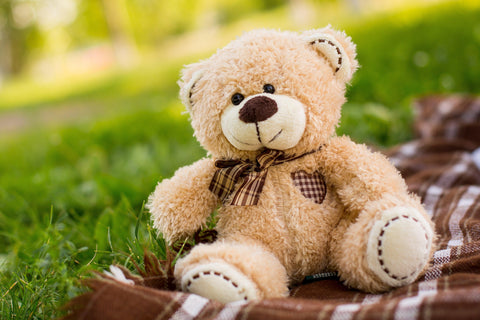 national teddy bear picnic day