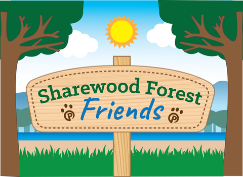 Which Sharewood Forest Friend Are You?